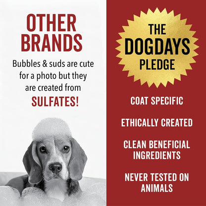 Pride and Groom DogDays No Rinse Quick Cleaning Shampoo | Waterless Foaming Dry Shampoo for Dogs & Cats | Odor-Eliminating, Hypoallergenic Pet Cleanser | 8 fl oz | Made in USA