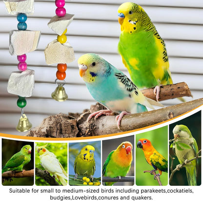 Hamiledyi 2 Pack Bird Toys with Five Cuttlebone - Natural Calcium Chew Toy for Beak Grinding, Hanging Wooden Cage Accessories for Parakeets, Budgies, Cockatiels, Lovebirds(Style C)