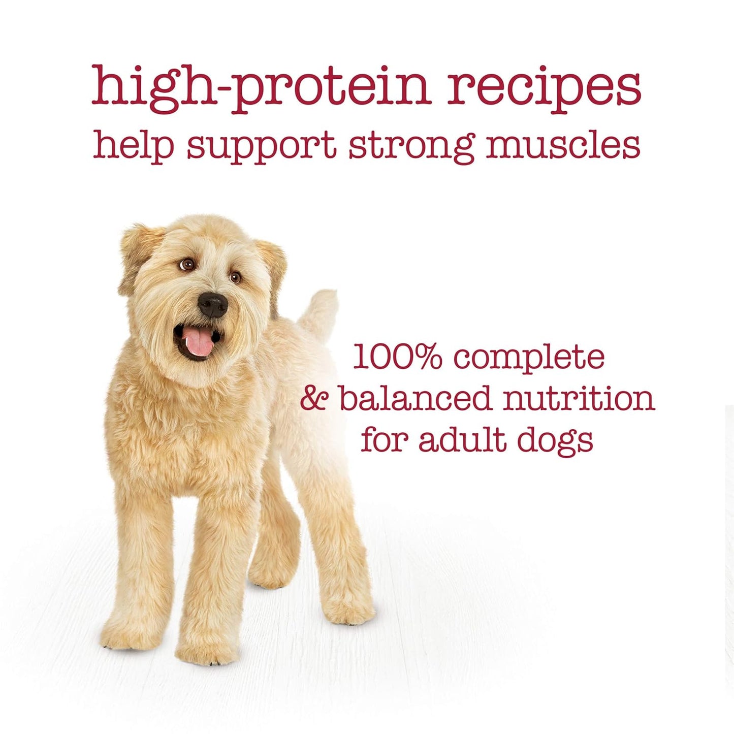 Purina Beneful Medleys Wet Dog Food Variety Pack with Tuscan, Romana, and Mediterranean Style Dog Food in Dog Gravy, 30 Pack - (Pack of 30) 3 oz. Cans