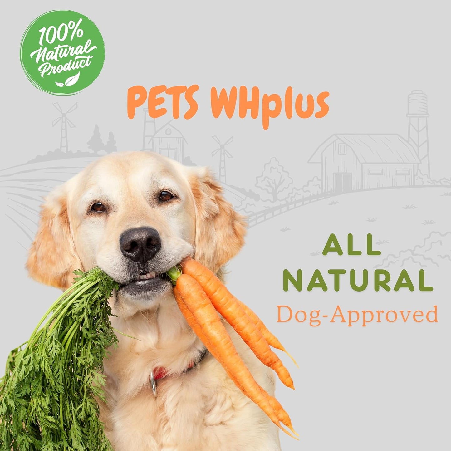 Pets WH Plus-Premium High Collagen Beef Dog Chews, 100% Natural, Single Ingredient, Grass-Fed Beef, 6” Sticks, 5 Count | Long-Lasting, Grain-Free, Rawhide-Free, Supports Joint Mobility & Dental Health