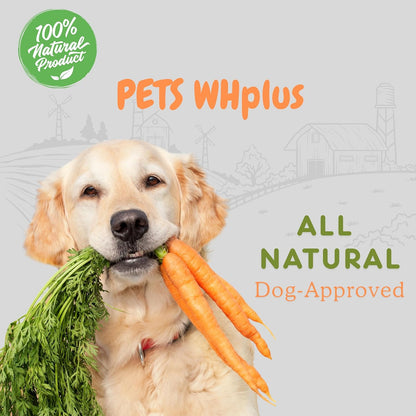 Pets WH Plus-Premium High Collagen Beef Dog Chews, 100% Natural, Single Ingredient, Grass-Fed Beef, 6” Sticks, 5 Count | Long-Lasting, Grain-Free, Rawhide-Free, Supports Joint Mobility & Dental Health