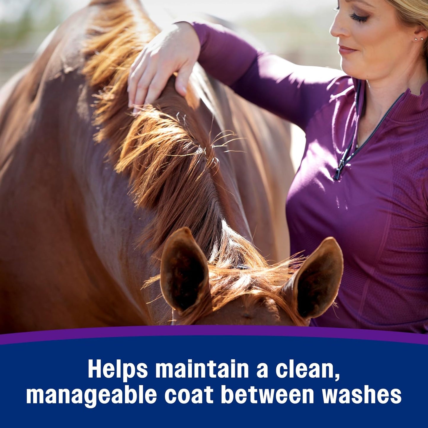 Farnam Vetrolin Shine, High-Luster Coat Polish and Detangler Spray, Ideal for Horses and Dogs, 32 oz.