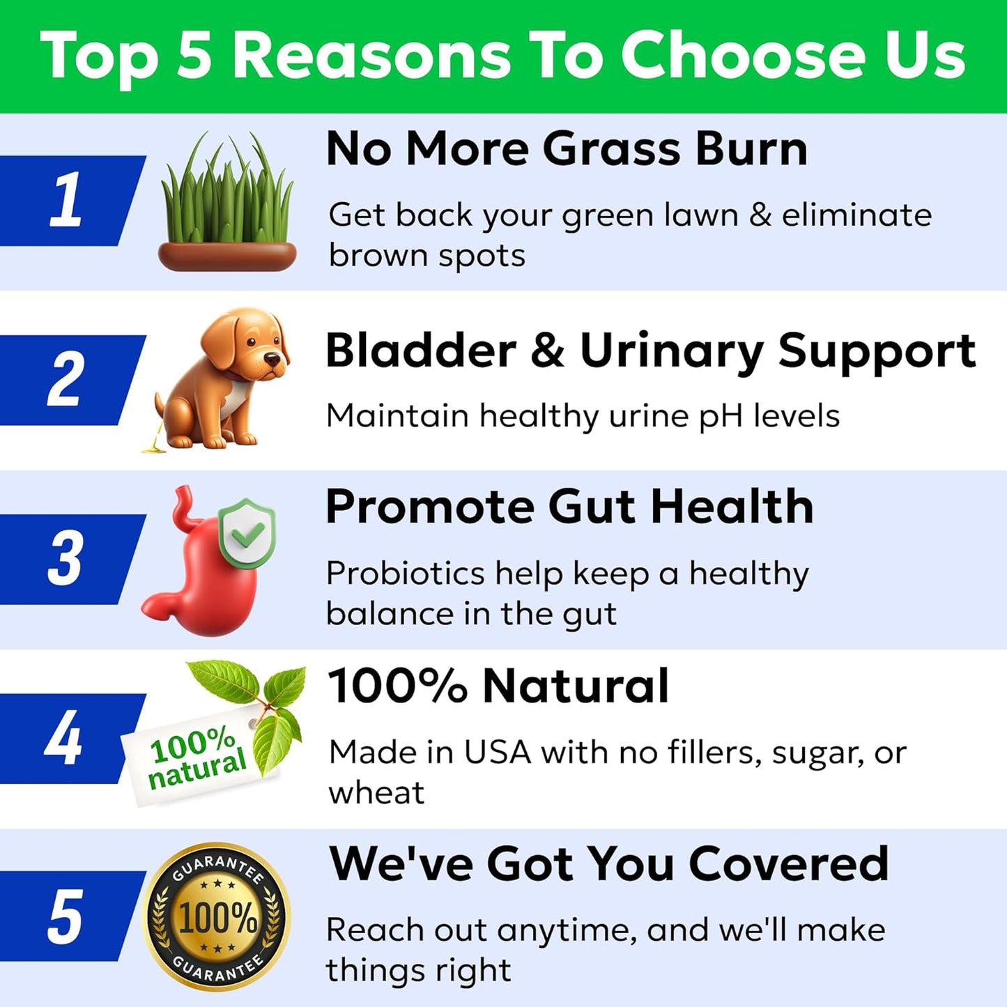 BARK&SPARK Green Grass Chews - Pee Grass Spot Saver Caused by Dog Urine - Urine Neutralizer for Lawn, Gut Health Probiotics & Digestive Enzymes,Lawn Burn from Dog Urine, Grass Burn Spot Chews (240Ct)