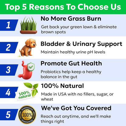 BARK&SPARK Green Grass Chews - Pee Grass Spot Saver Caused by Dog Urine - Urine Neutralizer for Lawn, Gut Health Probiotics & Digestive Enzymes,Lawn Burn from Dog Urine, Grass Burn Spot Chews (240Ct)