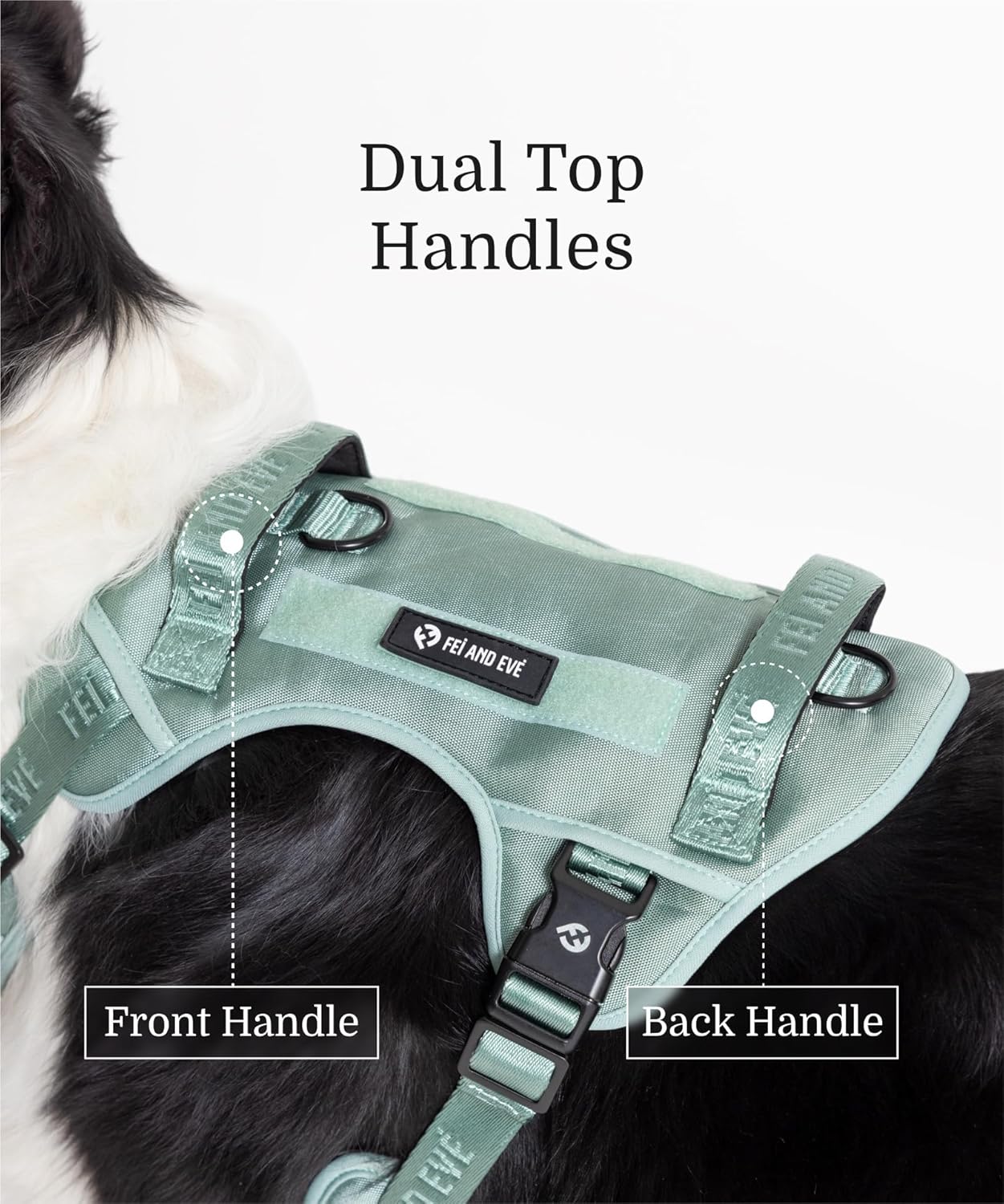 2025 New Edition, Fei & Eve Classic Dog Harness - Quick-Release Buckles | 3-Point No-Pull Control | Heavy-Duty 900D Nylon | Dual Safety Handles | Breathable Mesh | Adjustable Fit | Medium,Green