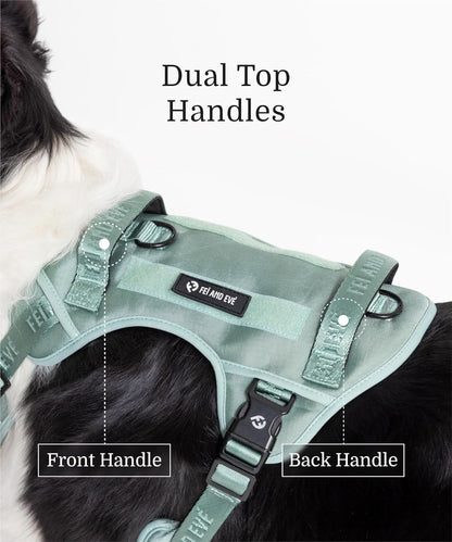 2025 New Edition, Fei & Eve Classic Dog Harness - Quick-Release Buckles | 3-Point No-Pull Control | Heavy-Duty 900D Nylon | Dual Safety Handles | Breathable Mesh | Adjustable Fit | Medium,Green