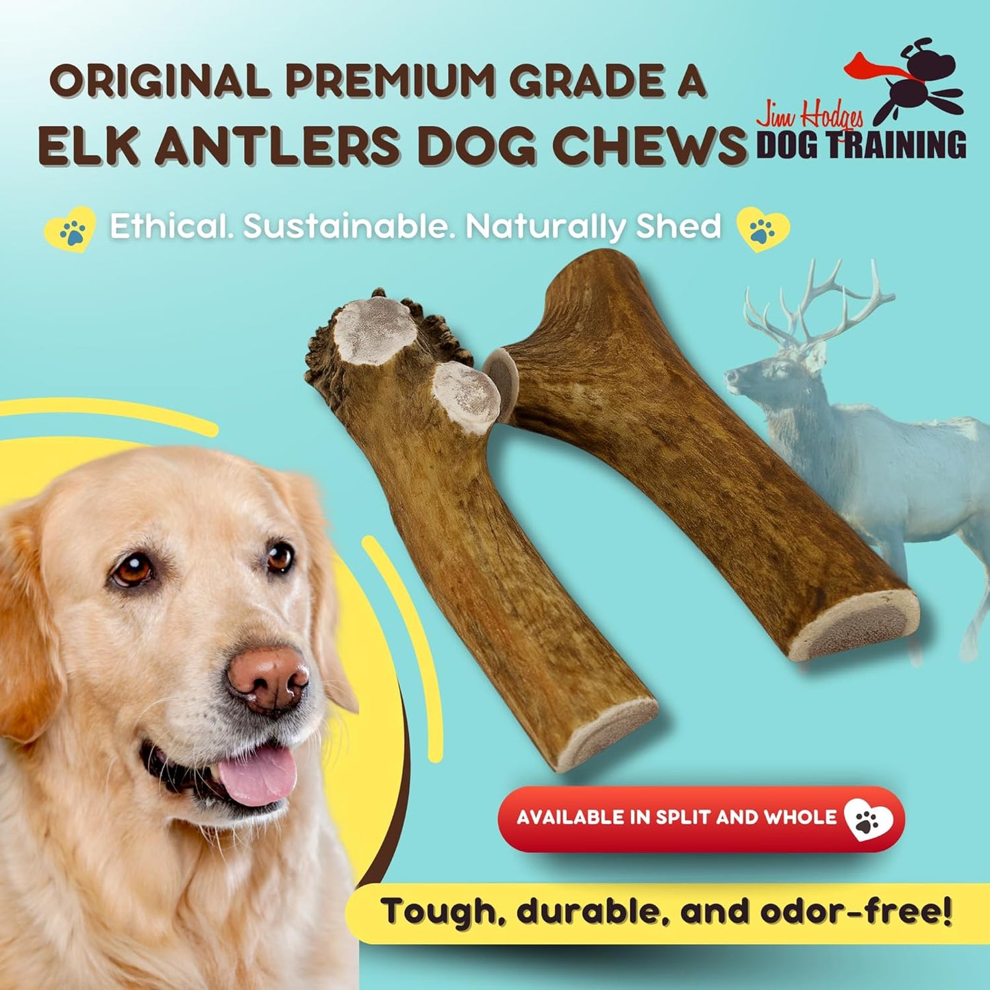 Grade A Premium Quality Elk Antler Dog Chews, Naturally Shed No Preservatives for Mild to Aggressive Chewers, Long Lasting Bone Treat Made in USA (Large Whole 2 Pack)