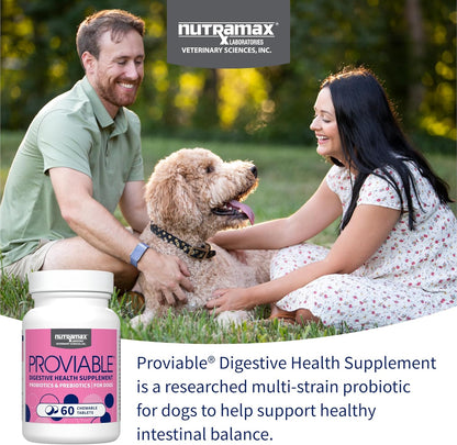 Nutramax Proviable Probiotics for Dogs, Daily Digestive Health Supplement with Multiple Strains of Bacteria, Dog Probiotics Plus Prebiotics, 60 Chewable Tablets