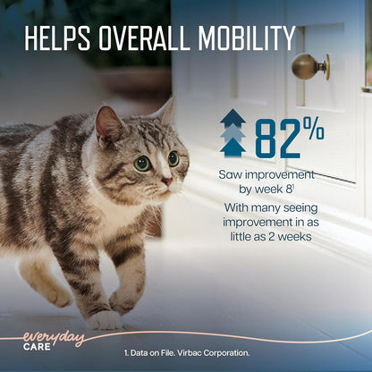 URSOLYXTM Soft Chews for Cats | Muscle Health Support for Senior, Active or Recovering Cats | 60 Count 2- Month Supply