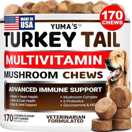 Turkey Tail Mushroom for Dogs - 170 Count - Mushroom Chews for Dogs Lipoma Lumps and Bumps - Immune, Digestive, Skin, Energy & Joint Health - Buddy Overall Health Guard - Dog Multivitamin Supplement