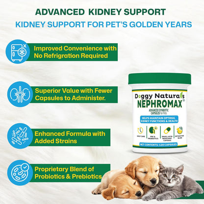 NEPHROMAX™ Synbiotic Capsules Dogs Cats (240 Caps)- Kidney Support Supplement for Cats & Dogs, Probiotics & Prebiotics for Digestive Health, Small & Easy-to-Swallow Capsules Made in The USA