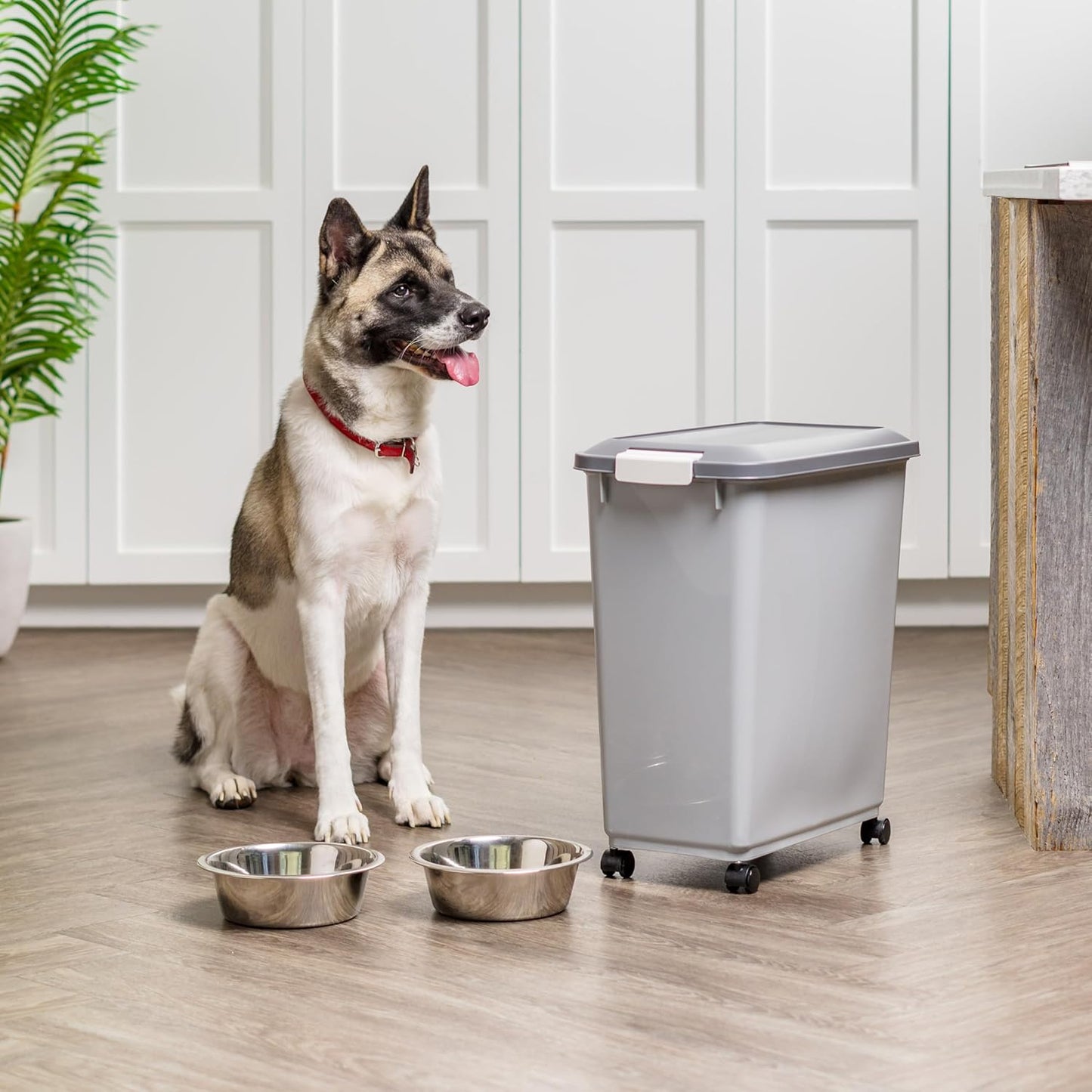 IRIS USA Dog Food Storage Container with Wheels, Airtight Lid, 2-Cup Scoop, Up to 40 Pounds Pet Food Storage, Built in Scoop Storage in Lid, Versatile Pet Food Bin, Portable, BPA Free, Gray/Dark Gray