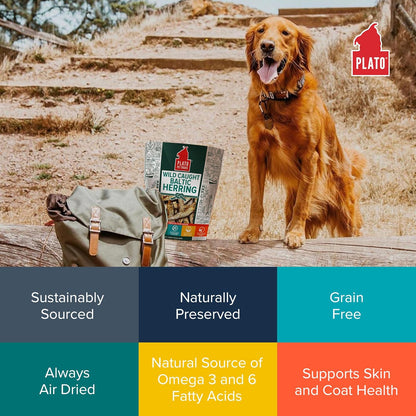 Plato Pet Treats Fish Dog Treats - Air-Dried, Single Ingredient Dog Treat - with Omega 3 & 6 Fatty Acids to Support Skin and Coat - 100% Whole Fish - Wild Caught Baltic Herring Dog Treats - 3oz