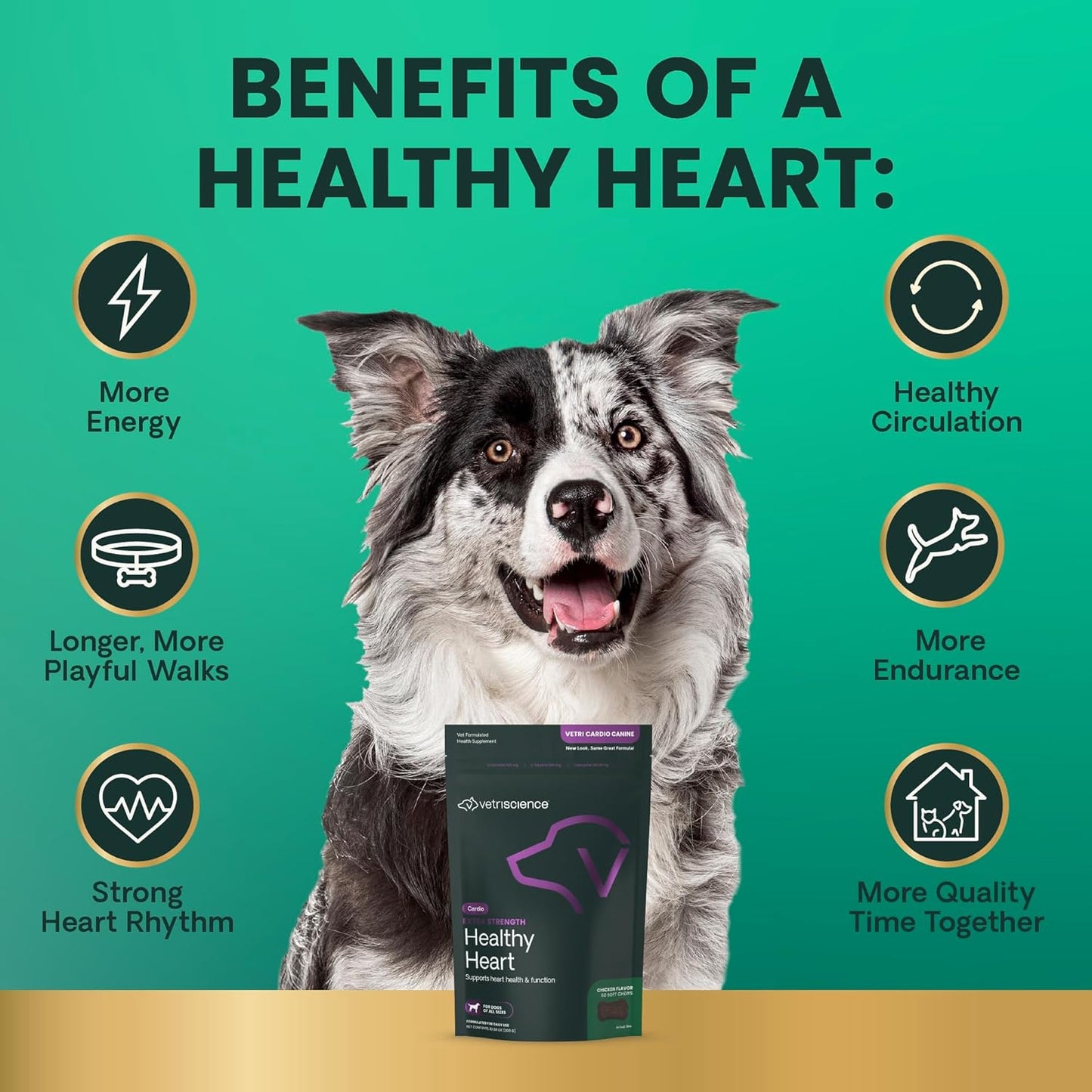 VetriScience Extra Strength Healthy Heart Chews, Vetri Cardio Supplement for Dogs, Heart Support Supplement with Taurine, Carnitine, CoQ10, Hawthorn and Berberine, Chicken, 60 Count