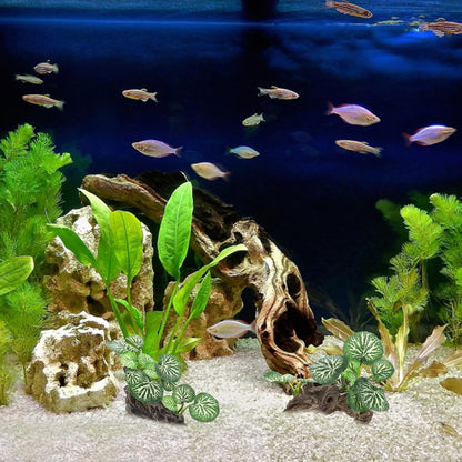 Reptile Terrarium Plant Artificial Plant Ornament Décor for Lizard Box and Fish Tank Habitat Decoration
