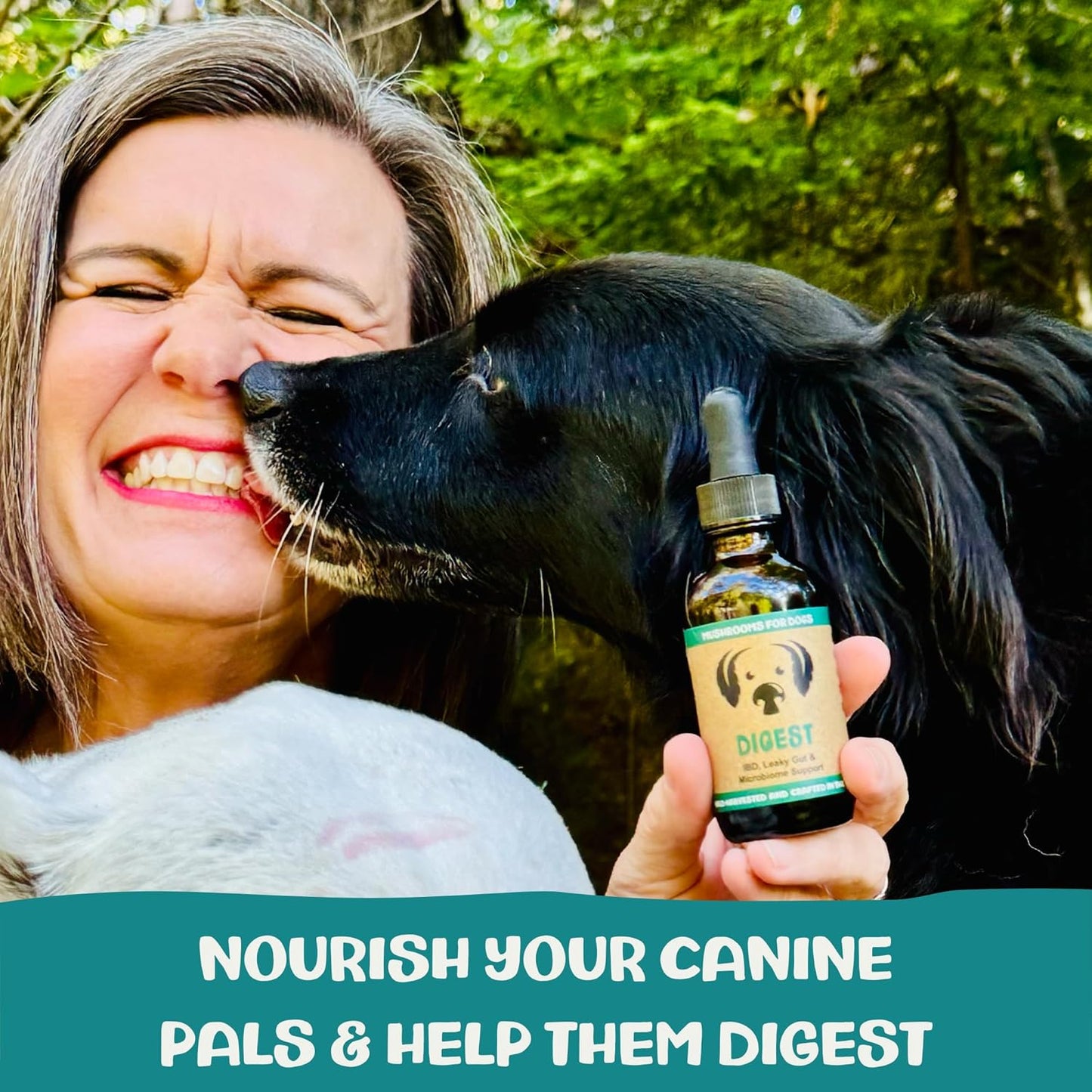 MycoDog Digest - Digestive Support Mushroom Supplement for Dogs - Holistic Gut Support - Adaptogens & Functional Mushrooms for Microbiome Balance, Probiotic Alternative