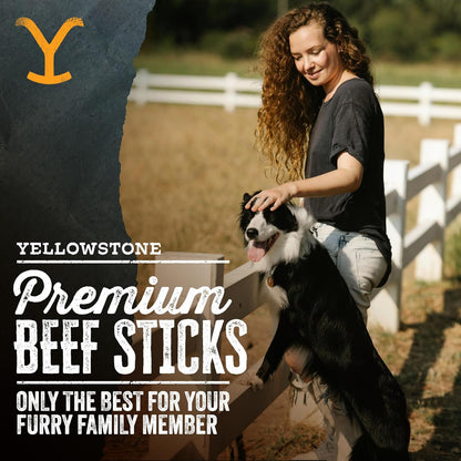 Yellowstone Limited Ingredient Dog Treats Beef Sticks - Healthy Dog Treats Made in USA - Air Dried Beef Collagen Dog Jerky Treats - Crunchy & Chewy Dog Treats - Beef Dog Treats Jerky - 8 oz