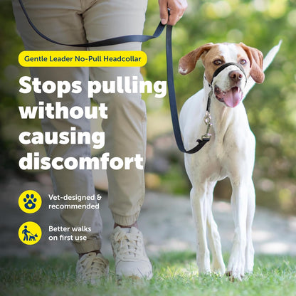 PetSafe Gentle Leader Headcollar No-Pull Dog Collar - Helps Improve Walks - Durable Nylon Construction - Padded Nose Loop - Adjustable Fit - Comfort Walking Halter - Medium, Black