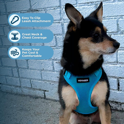 Best Pet Supplies Voyager Step-in Lock Pet Harness w Reflective Pet Leash Combo Set with Neoprene Handle 5ft - Supports Small, Medium and Large Breed Puppies/Cats - Turquoise Set, M