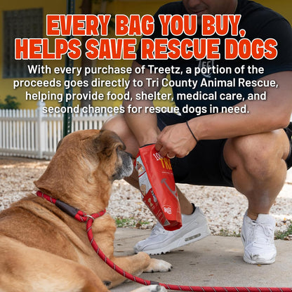 TREETZ Duck Chips Dog Treats, Human-Grade, Natural Lean Meat, Easy to Digest, Soft Texture, No Fillers or Artificial Ingredients, Great for Training, 12 oz Bag (12 Ounce (Pack 1), Duck)