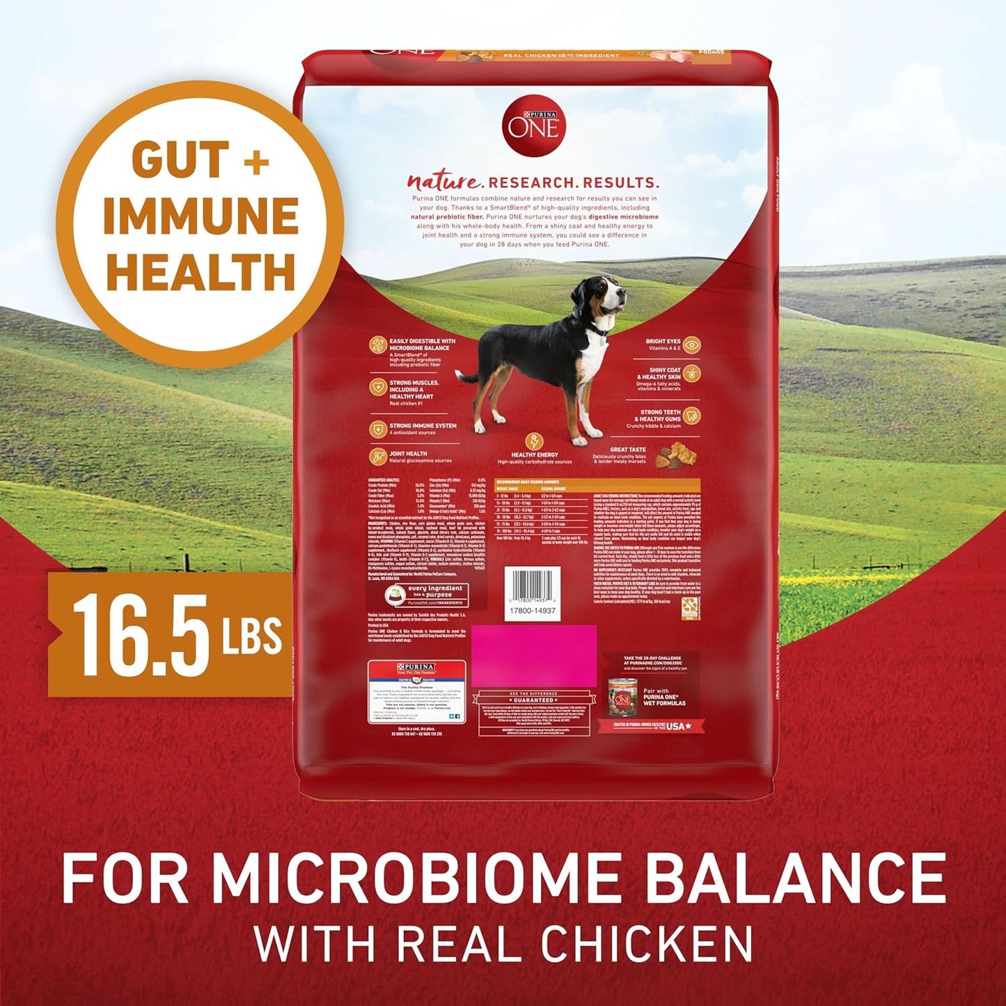 Purina ONE Chicken and Rice Formula Dry Dog Food - 16.5 lb. Bag