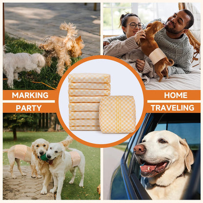 Male Dog Diapers Bundle with Male Dog Wraps, XS, 40 Counts