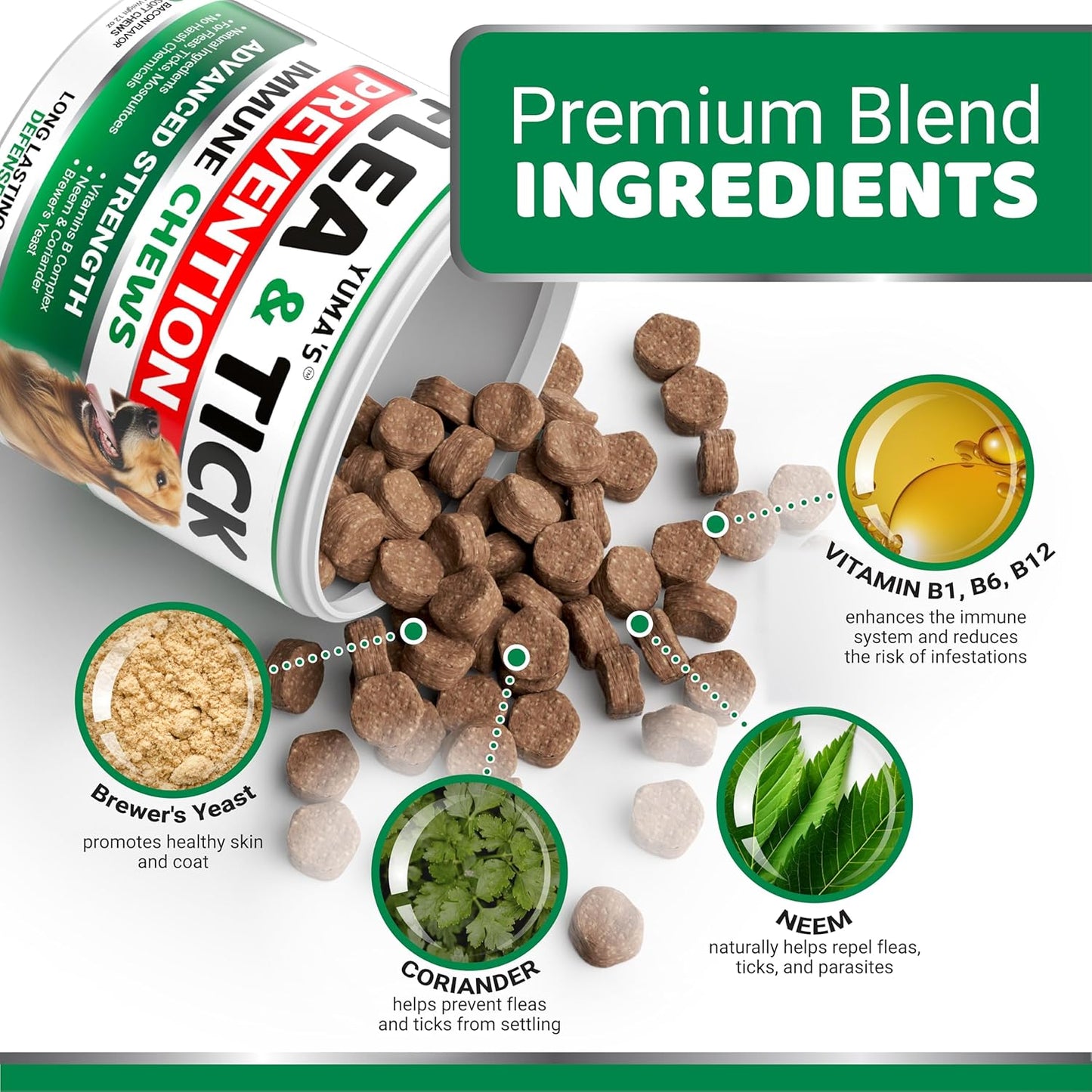 Flea and Tick Prevention for Dogs Chewables - 170 Treats - Natural Dog Flea and Tick Treatment Chewable Supplement - Oral Pills - All Breeds & Ages - Soft Chews - Made in USA - Bacon Flavor