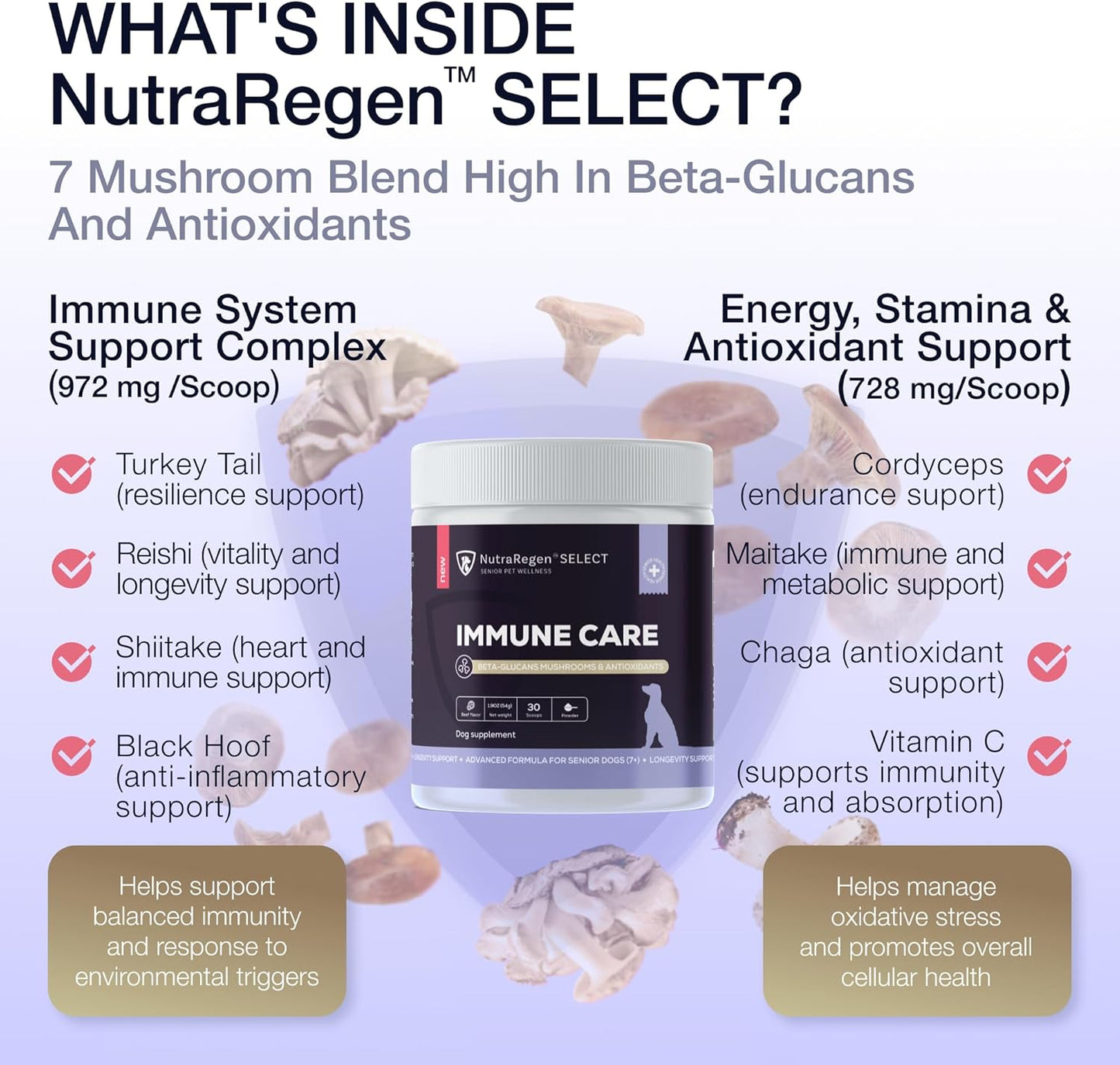 Senior Dog Digestive and Immune Support Bundle | Mushroom & Probiotic Powder Supplements to Support Daily Wellness, Comfort, and Gut Balance, 7 Bn CFU | 60 Servings, 4.0 oz