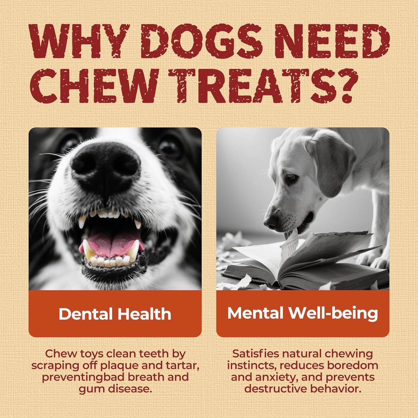 Just Try 2 Pack 10.6" Chicken Wrapped Rawhide Chew Sticks for Dogs - Long Lasting Dog Chews, Healthy Dog Bones Dental Treats for Medium Dogs