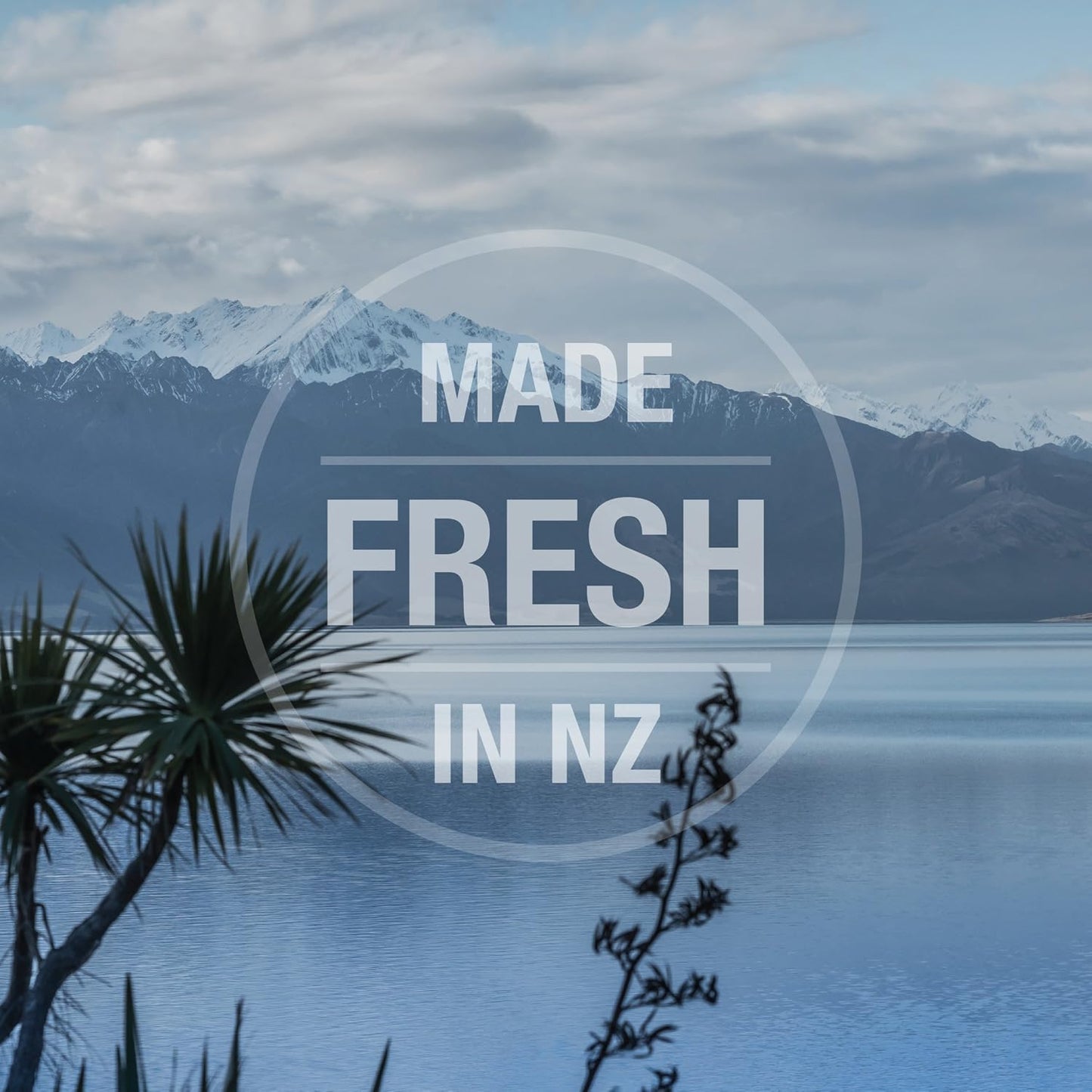 K9 Naturals, Freeze-Dried Single Ingredient Dog Treats, High-Value, Low-Calorie Protein Bites for Active Dogs, Healthy Dog Training Treats, Grain-Free Reward, Green Mussles, 1.76oz