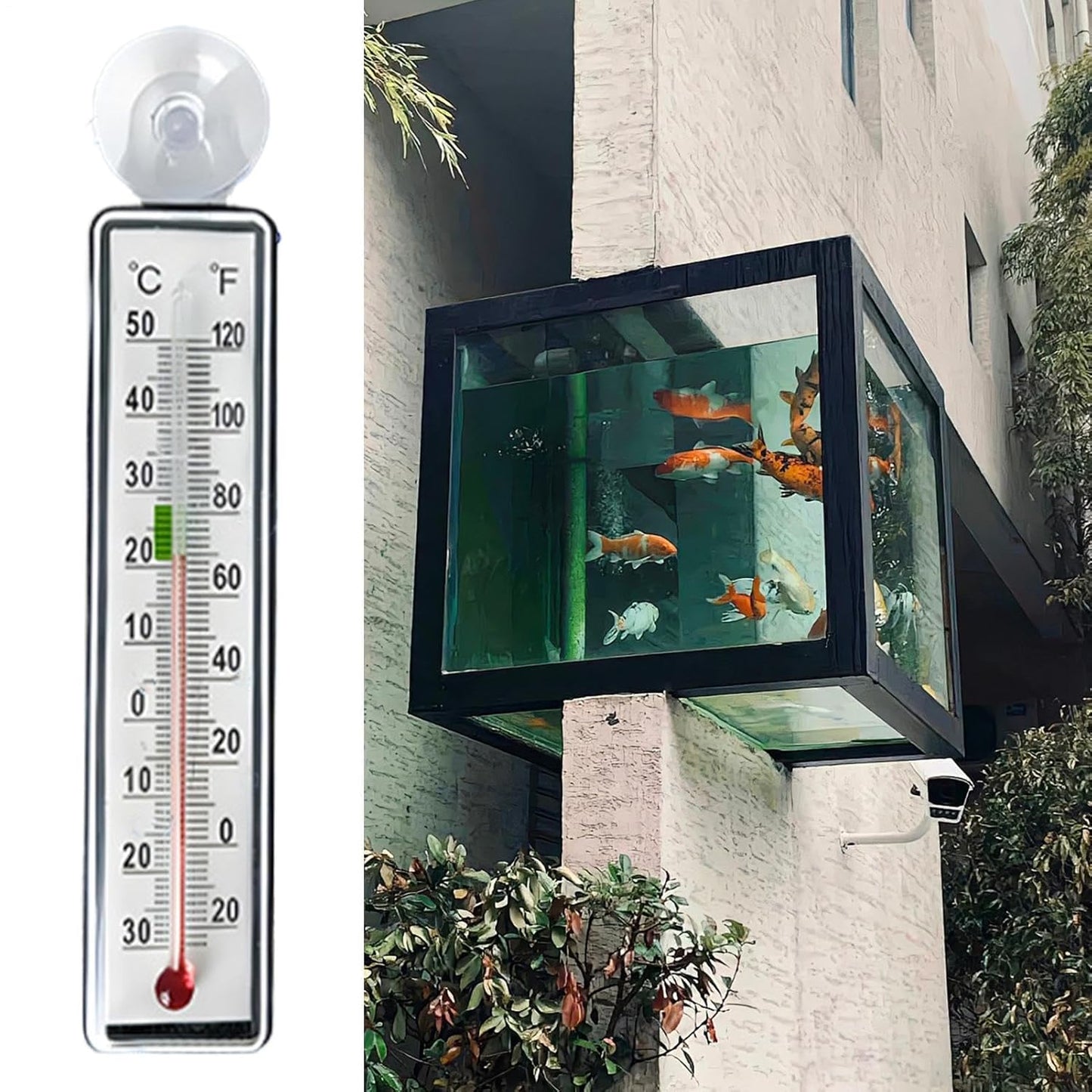 Fish Tank Temp Gauge - Reptile Tank Temperature Monitor,Suction Cup Anti-collision Temp Monitor for Aquarium Terrarium Greenhouse Indoor Fish Tank