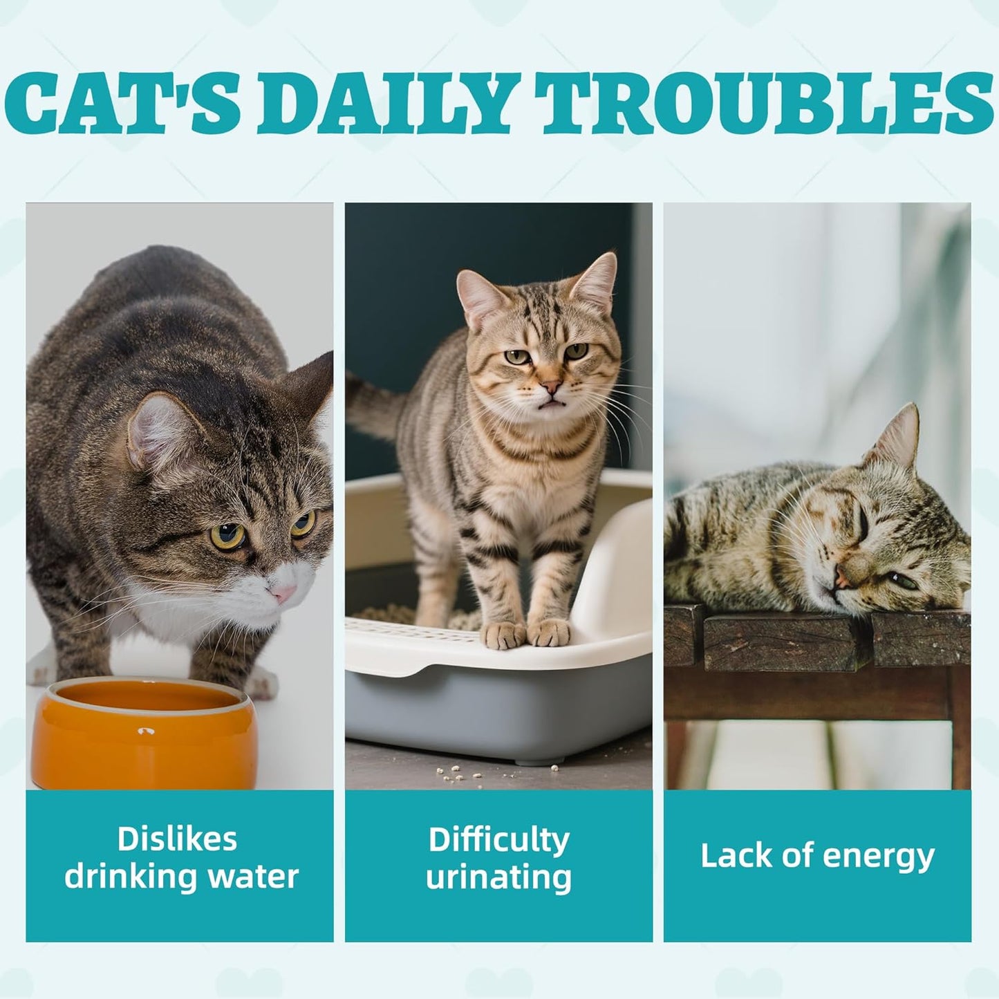 Wellix 13.5oz Urinary Tract Health Supplement Cat Treats for Indoor Cats - Chicken Flavor Kitten Snacks for Support Kidney Bladder & Urinary Health Cat Training Biscuits - Add Dandelion & Cranberry