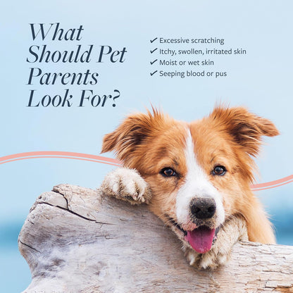 Veterinary Formula Clinical Care Hot Spot & Itch Relief Cat & Dog Medicated Conditioner, 16 oz – Oatmeal Conditions Skin for a Lustrous Coat, Formulated to Help Alleviate Itchy Skin