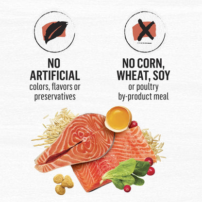 Purina Beyond Natural Wholesome Ingredients for Whole Health Dry Cat Food Salmon and Whole Brown Rice Recipe - 6 lb. Bag