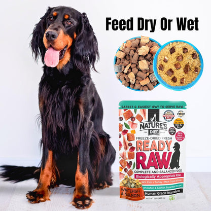 Nature's Diet Ready Raw : Freeze-Dried Raw Dog Food, Salmon & Whitefish, Human Grade, High Pressure Pasteurized (HPP), 96% Meat, Organ, Bone, Safe & Natural, Dry or Wet Feeding