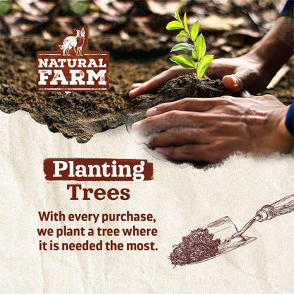 Natural Farm Odor-Free Super Collagen Dog Chews (3-5 Inch, 10-Pack) The First Ever Real Bull Sticks Alternative: 100% Natural Angus Hide Collagen Treats - More Protein, More Chew Time for All Dogs