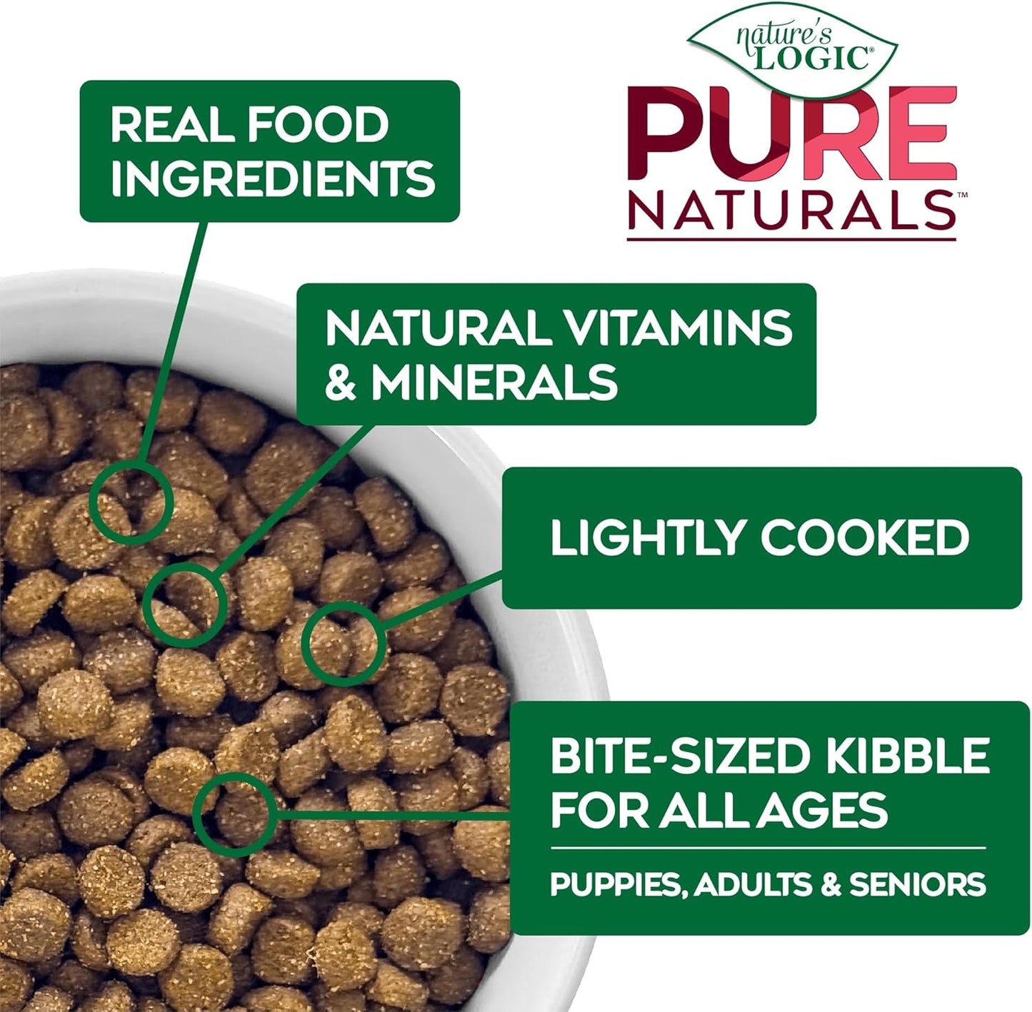 NATURE'S LOGIC Pure Naturals™ 100% Natural Grain-Free Beef Recipe Synthetic-Free Dry Dog Food, 24 lbs
