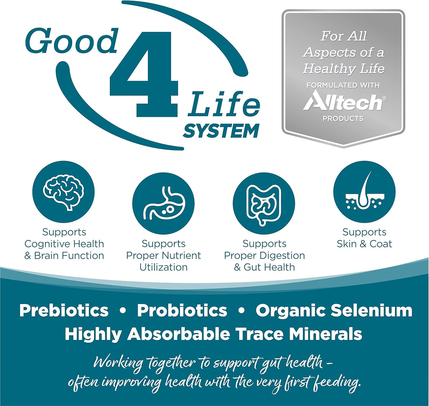 NutriSource Adult Dog Food, Made with Chicken and Rice, with Wholesome Grains, 1.5LB, Dry Dog Food