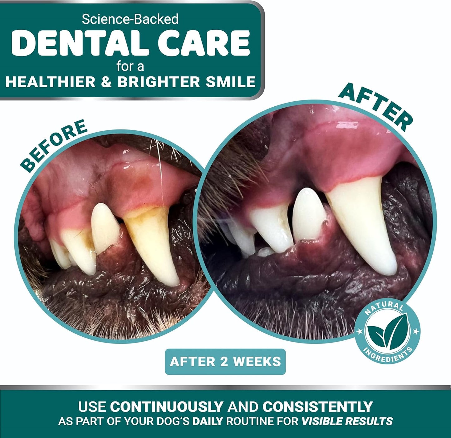 Advanced Dog Dental Powder, Breath Freshener with Multivitamin, Dog Teeth Cleaning, Bad Breath & Tartar and Plaque Off Remover for Dogs Probiotics lab co, Pet Oral Care - Vitamins and Supplements