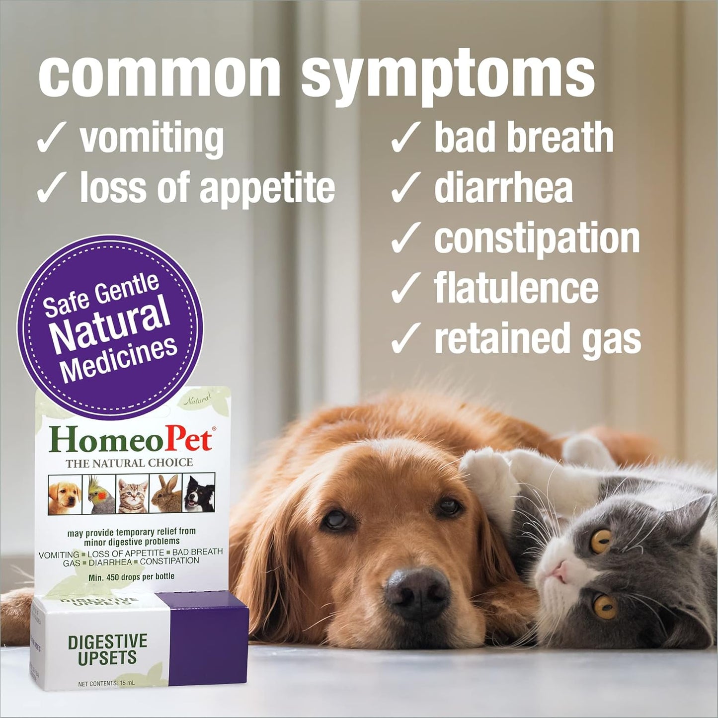 HomeoPet Digestive Upsets, Safe, Gentle, and Natural Cat and Dog Digestive Support, 15 Milliliters
