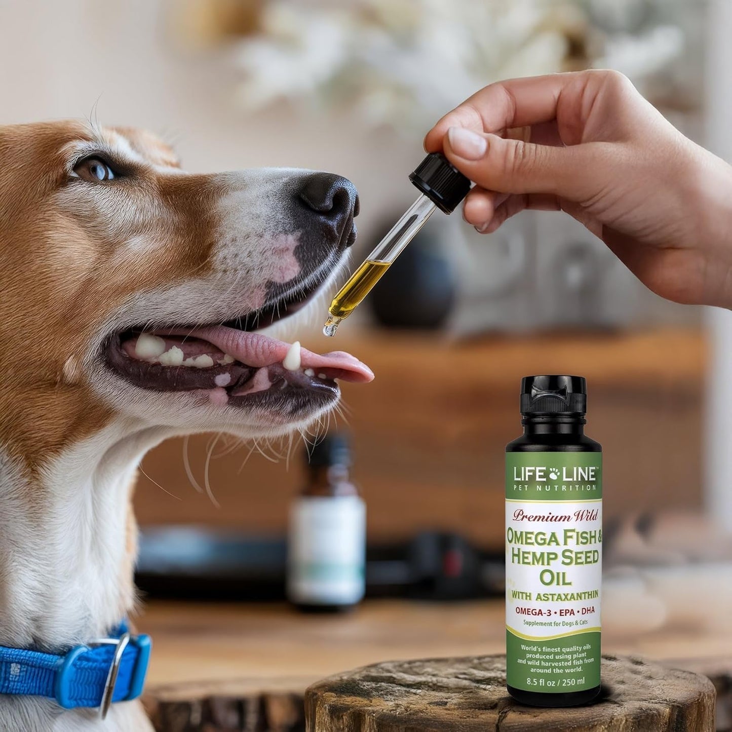 Lifeline Premium Omega 3 Fish & Hemp Oil for Dogs & Cats | Wild Caught | Skin, Coat & Joint Support | Pet Calming Supplement with Astaxanthin | Supports Pain Relief – 8.5 oz