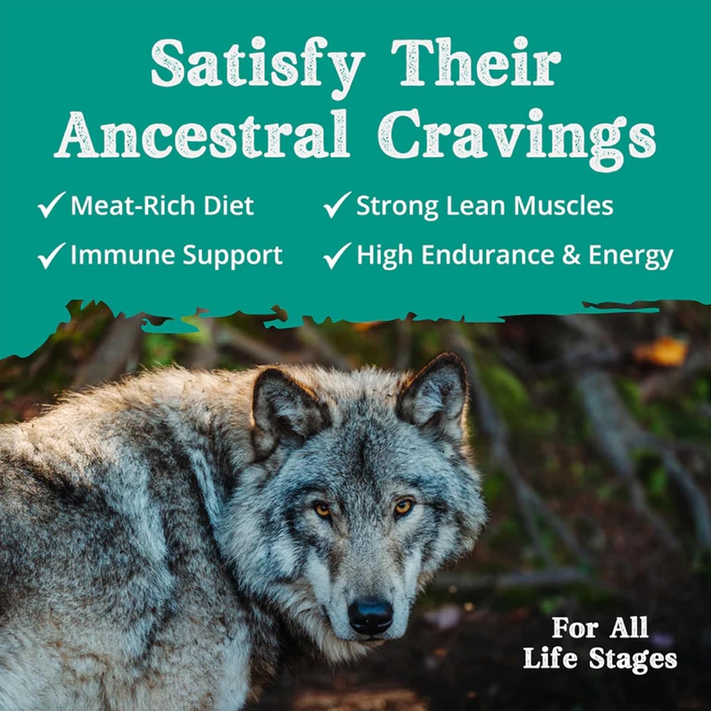 Health Extension Ancestry Dog Food Bundle - Lamb Meal & Brown Rice and Chicken Meal & Brown Rice Formula (4 lbs Each) – Wholesome Grains, Dry Dog Food for Optimal Nutrition