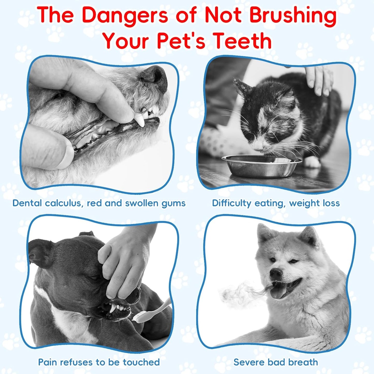 Ceenna 8 Pcs Small Dog & Cat Toothbrush with 2 Storage Clear Box 360 Degree Soft Silicone Deep Pet Teeth Cleaning Kit Cat Dental Care for Kitten and Small Dogs, 4 Different Shapes