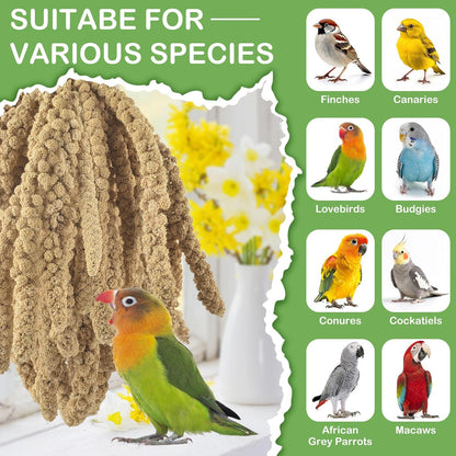 ERKOON 5LB Spray Millet Treat, All Natural Sun-Dried Healthy Treat Parrot Food Bird Snack for Parakeets, Lovebirds, Cockatiels, Finches, Budgies, Canaries Hamster, Bird Food Bulk