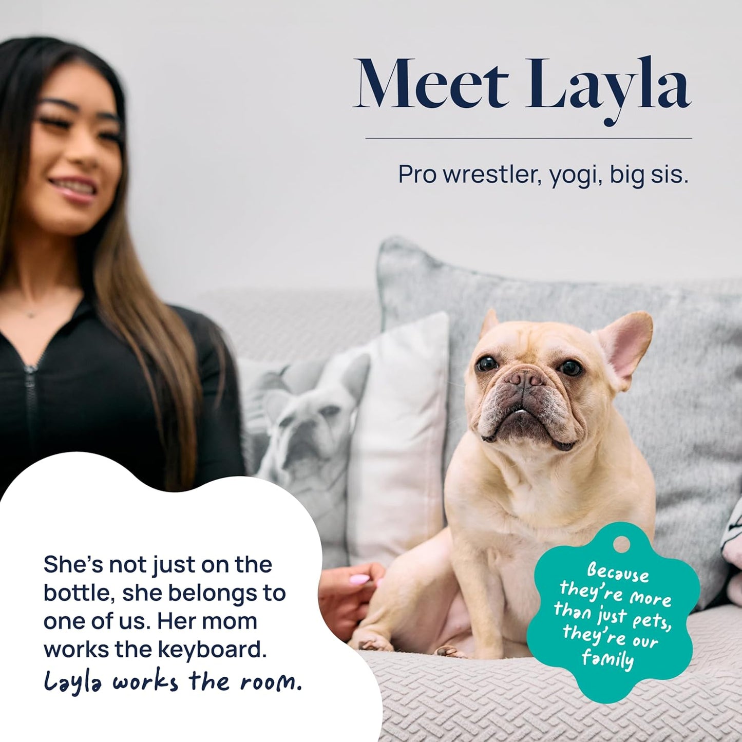 Veterinary Formula Anal Gland Support for Dogs – Vet-Formulated No Scoot Chews with Pumpkin, Ginger, Agave Inulin & Probiotics – Supports Scooting, Stool Quality & Digestive Health, 60 Soft Chews