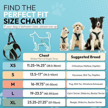 Gooby Escape Free Easy Fit X Step in Dog Harness - Seattle Blue, Small