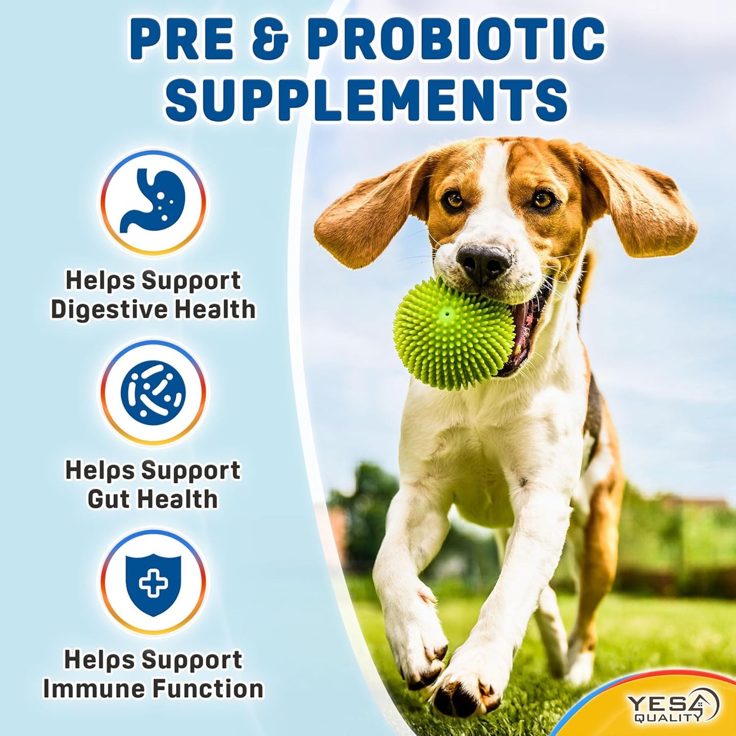 Dog Probiotics - Prebiotic & Probiotic Chews for Dogs - May Support Immunity, Digestive & Gut Health, Diarrhea, Flatulence Relief & Upset Stomach - 120 Chicken Flavored Tablets