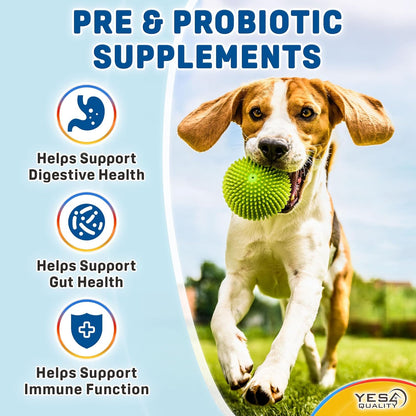 Dog Probiotics - Prebiotic & Probiotic Chews for Dogs - May Support Immunity, Digestive & Gut Health, Diarrhea, Flatulence Relief & Upset Stomach - 120 Chicken Flavored Tablets