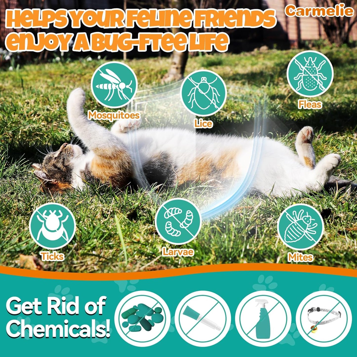 Flea and Tick Support Bundle for Dogs and Cats – Oral Flea Drops for Cats + Flea Drops for Dogs – Natural Flea Prevention for All Breeds & Ages