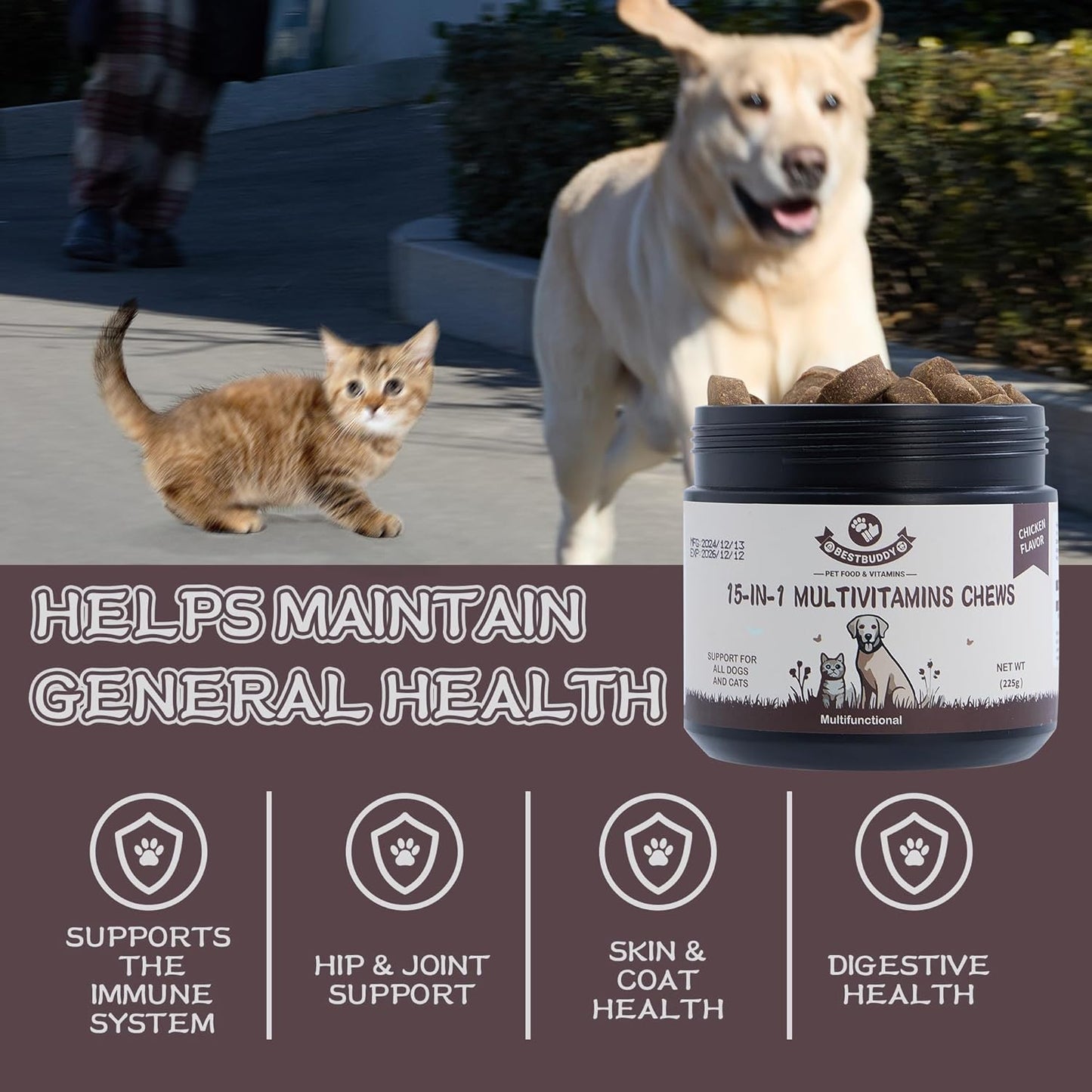 Best Buddy Dog Supplement Bundle – 15-in-1 Multivitamin Treats + Probiotic Chews | Joint, Skin, Coat & Digestive Health Support | Grain-Free Chicken Flavor, 225g Each